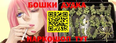 молекула духа Краснокаменск