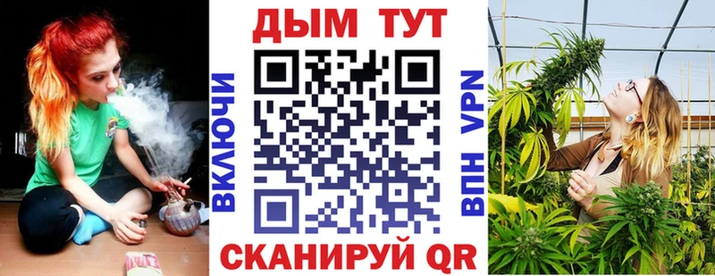Конопля сатива  что такое наркотик  Волхов 